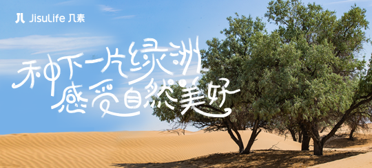 几素✖️沙漠邮局｜在沙漠种下一片绿洲，感受自然美好