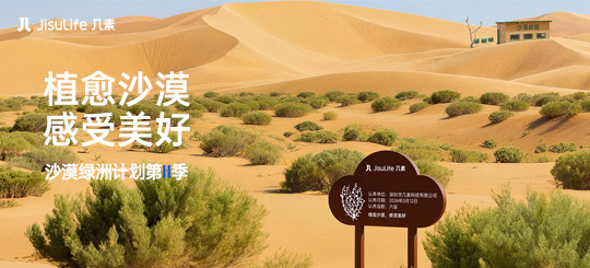 沙漠绿洲第Ⅱ季｜用一抹绿意，植愈沙漠
