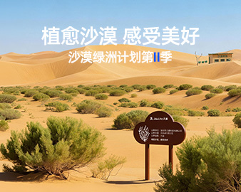 探索更多信息 